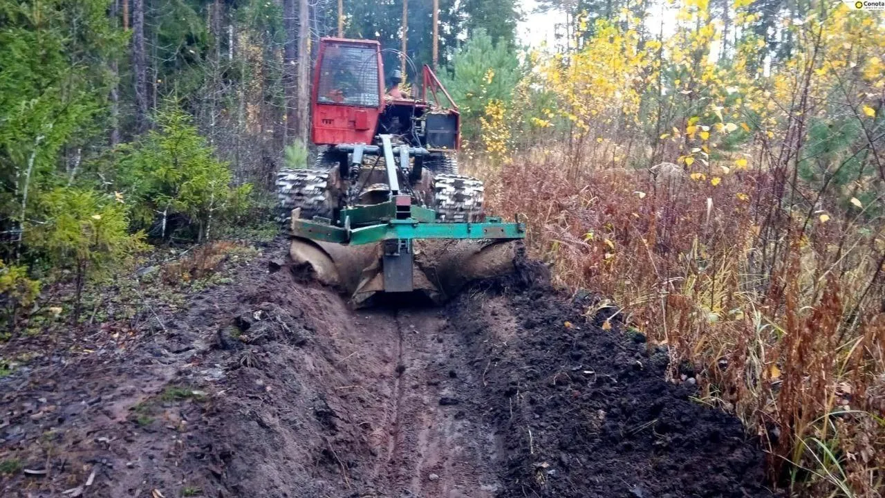 Орехово-Зуевский филиал ГАУ МО "Мособллес"