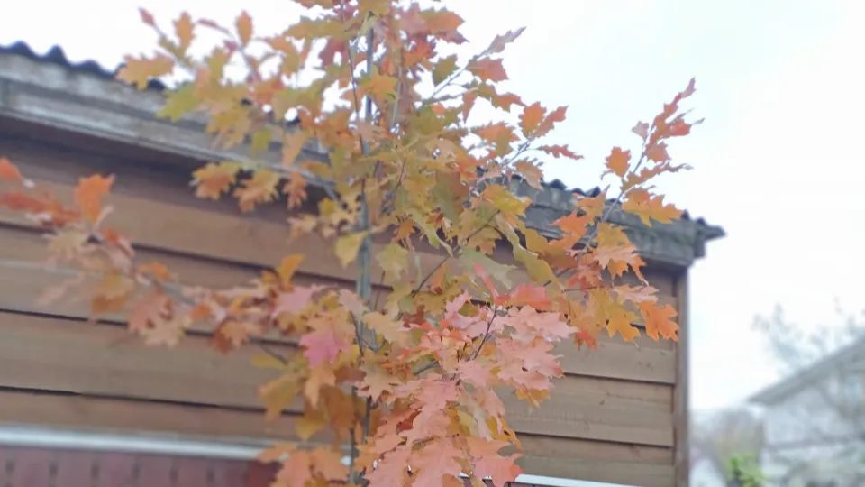 Фото: личный архив Людмилы Синявской