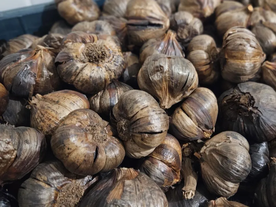 Фото: МедиаБанк Подмосковья/Ольга Вельшикаева