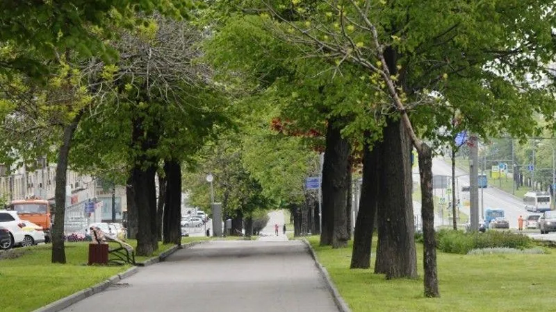 В Звенигороде благоустроили Московскую улицу