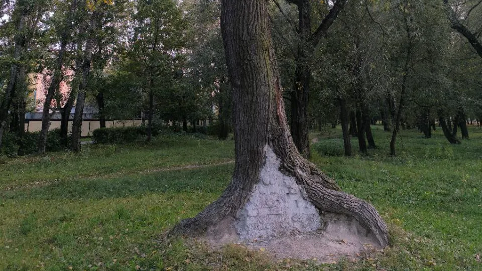 Фото: t.me/reutov_today