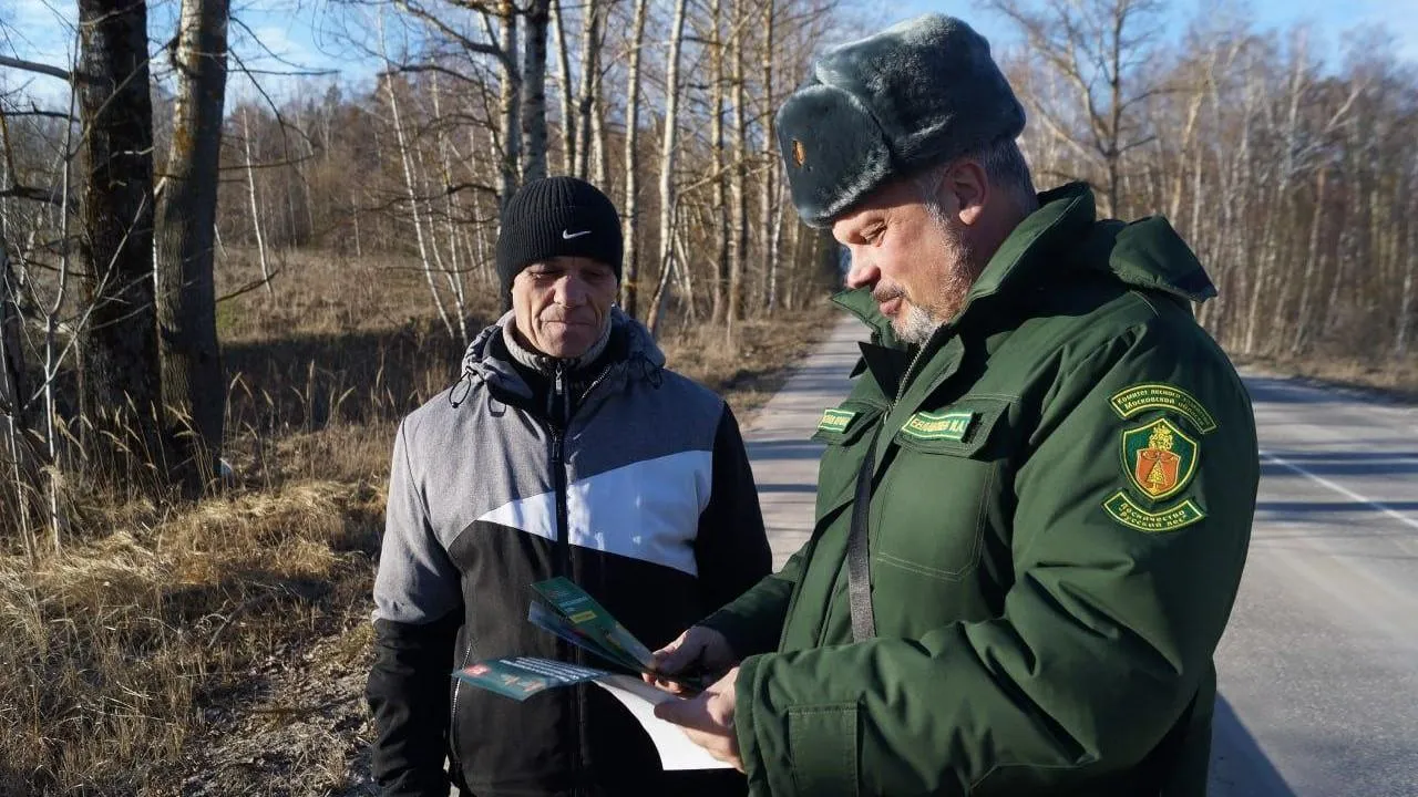 В январе в Подмосковье выявили 138 нарушений лесного законодательства