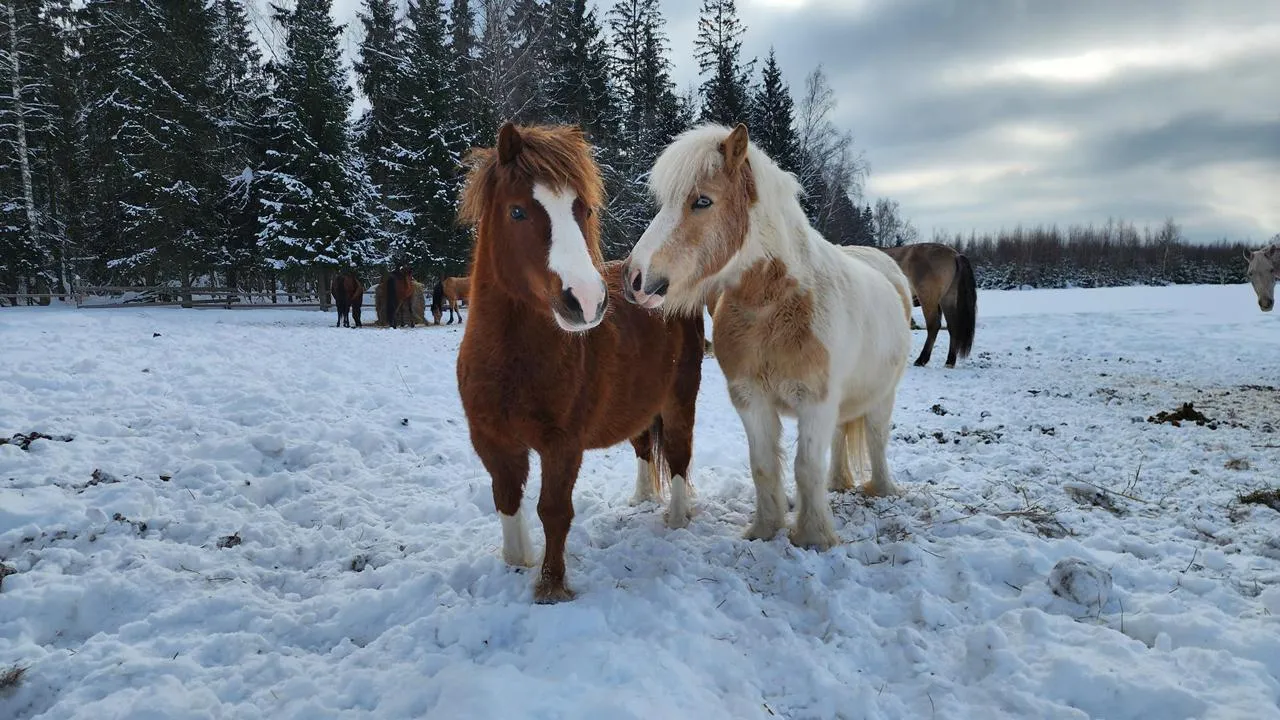 Медибанк Подмосковья/Екатерина Данилина