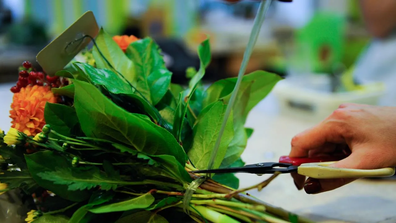 медиасток.рф