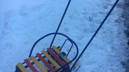 Похитителя детских санок задержали в Перово