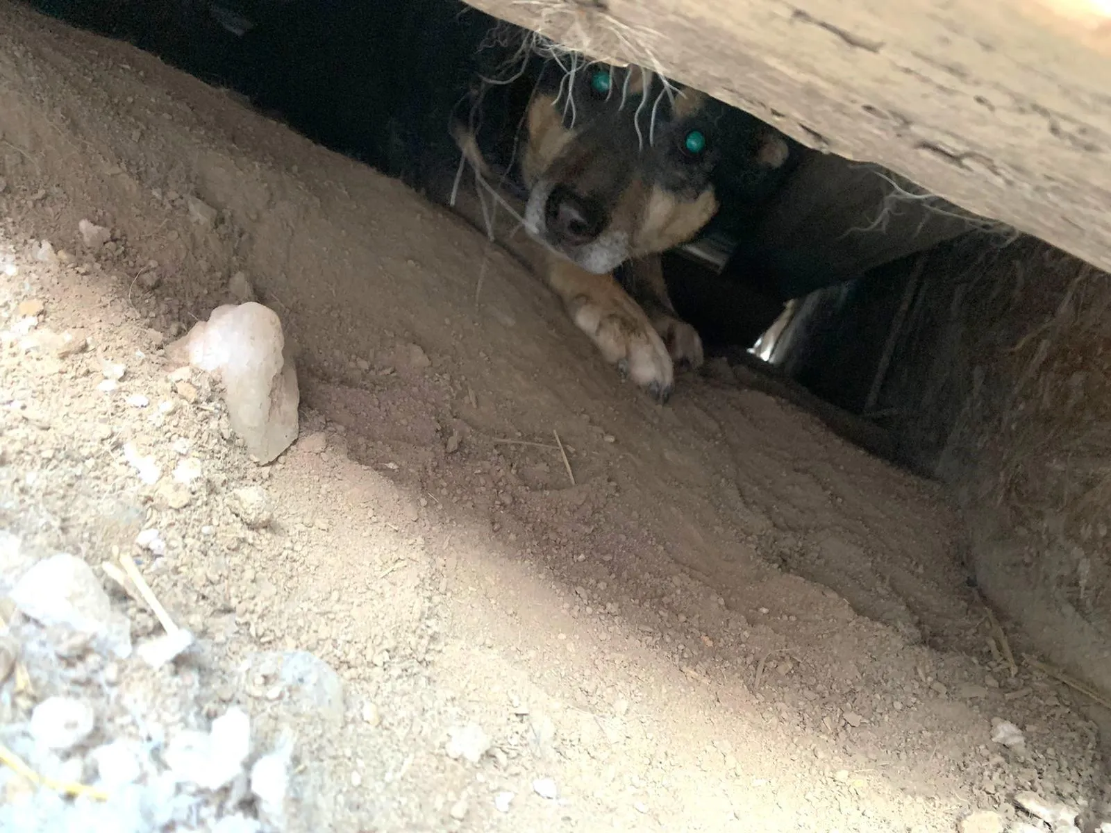 пресс-служба ГКУ МО «Мособлпожспас»