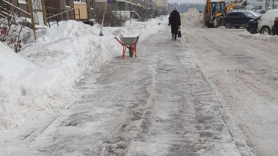 Фото: пресс-служба администрации г.о. Лосино-Петровский