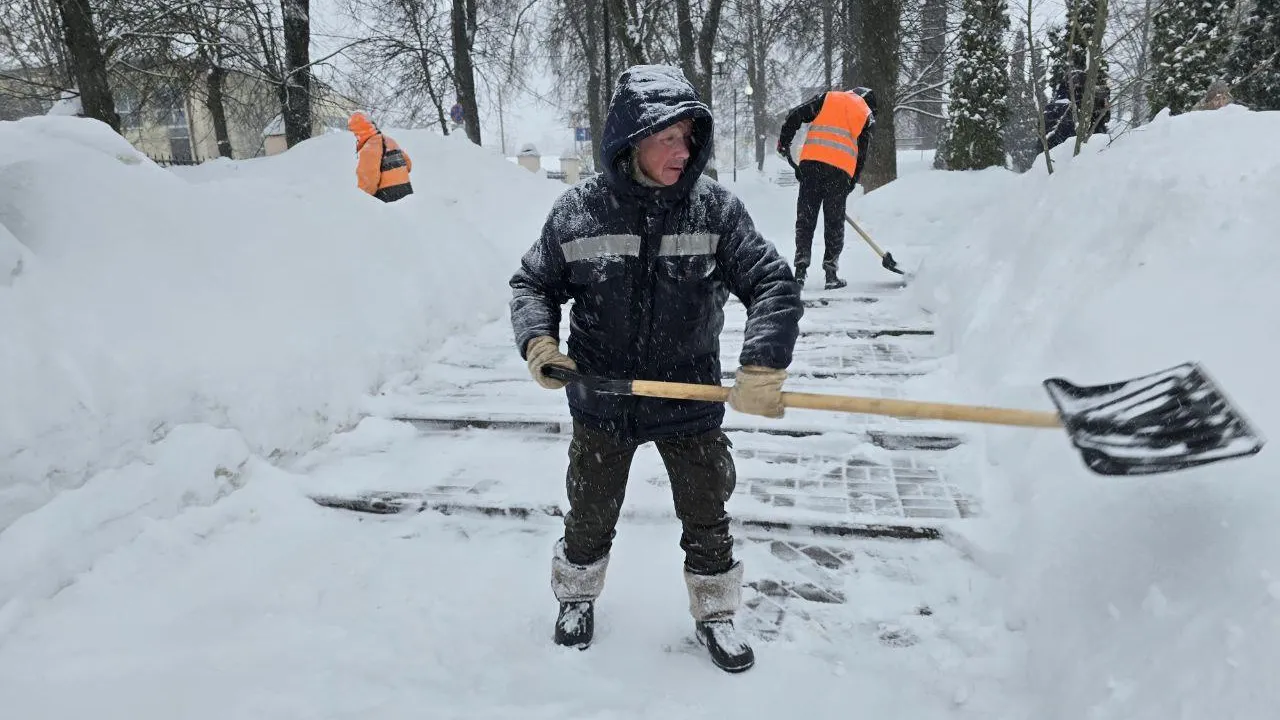 REGIONS/Яна Шаливская