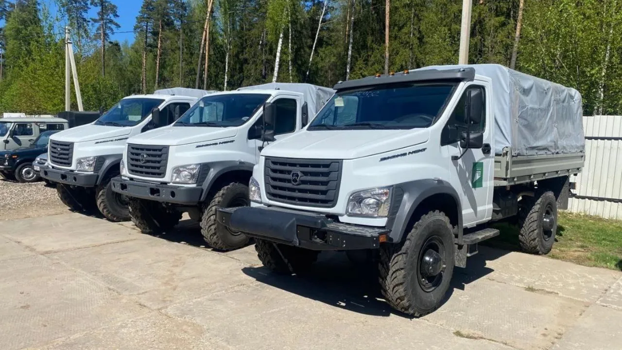 Фото: vk.com/Комитет лесного хозяйства Московской области