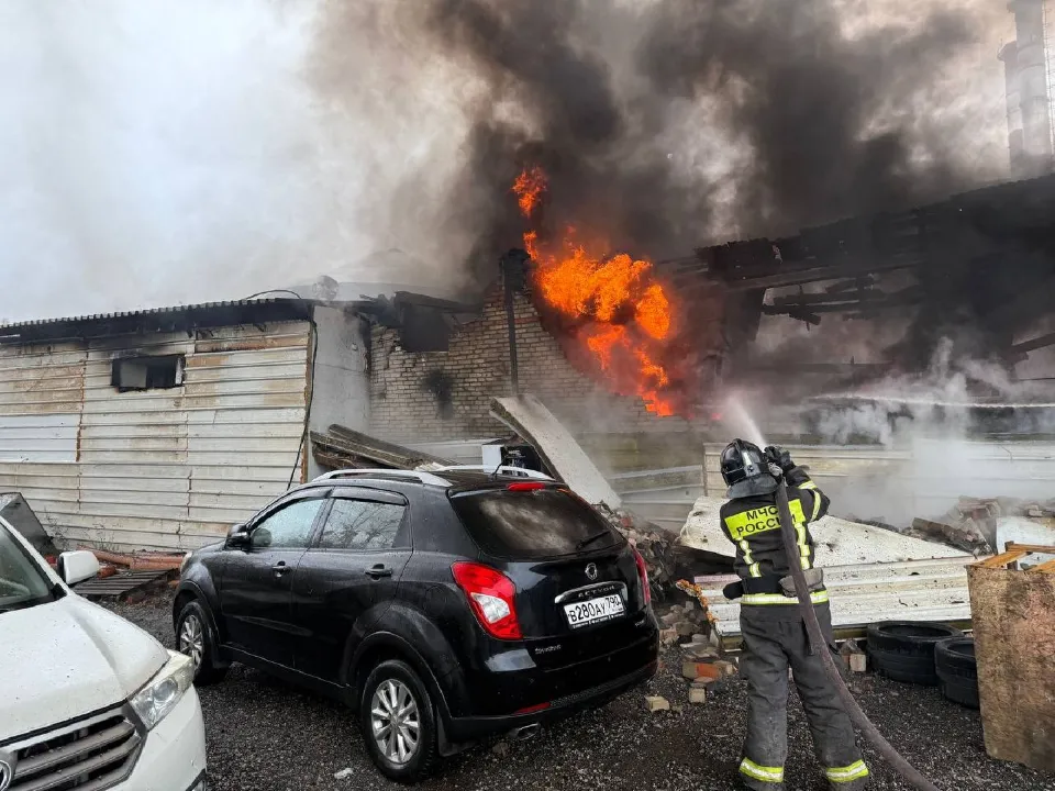 Фото: МедиаБанк Подмосковья/Мария Шигорева