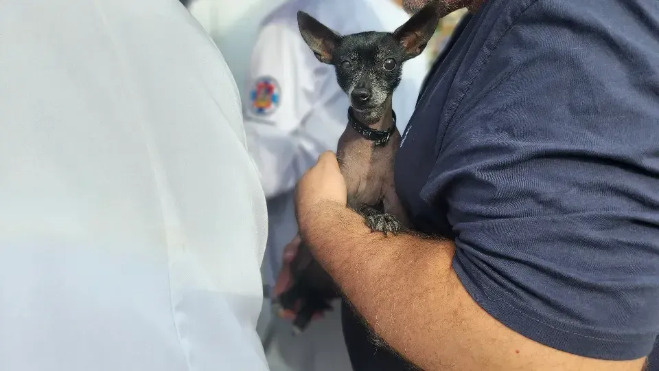 МедиаБанк Подмосковья/Елена Шумакова