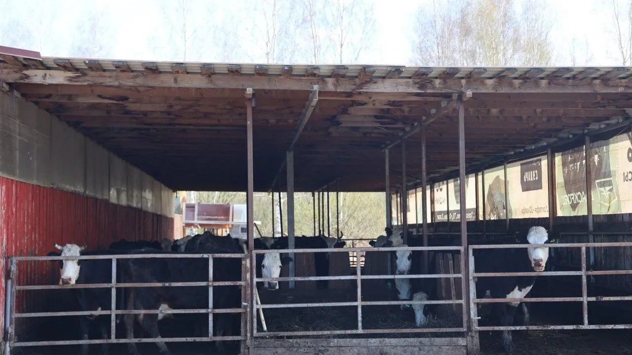 фото: Администрация Волоколамского округа