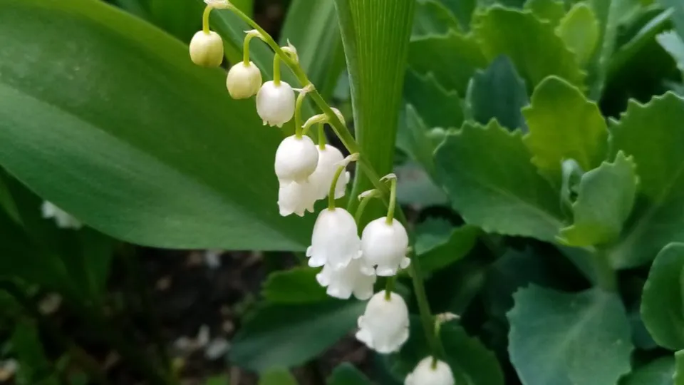 Фото: Елена Быховская