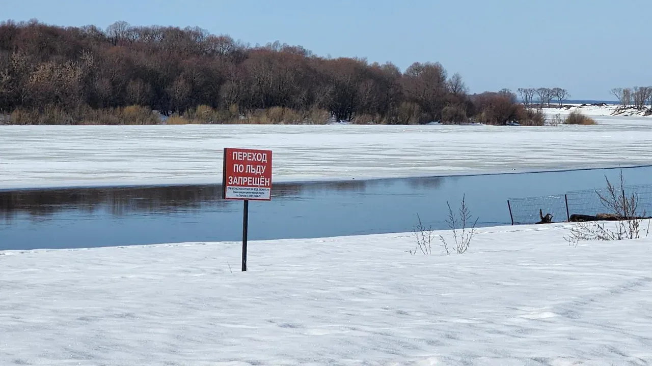 МедиаБанк Подмосковья/Валерий Гореловский