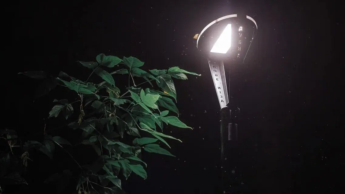 Фото: Министерство благоустройства Московской области