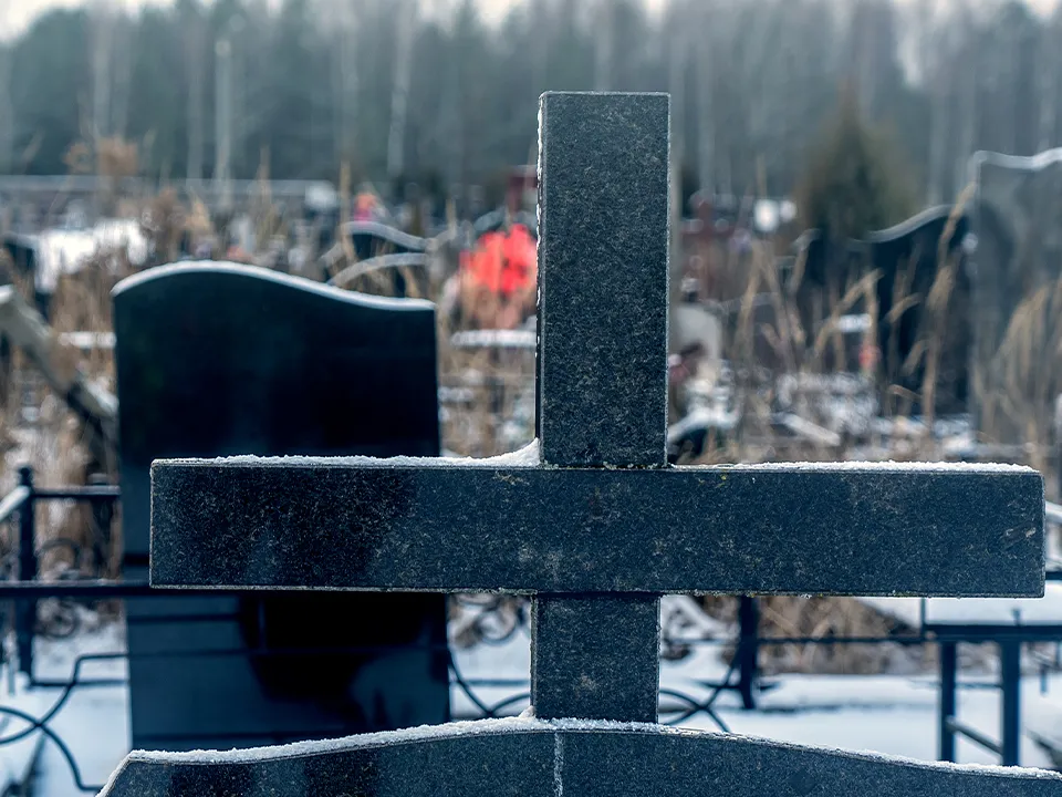 Фото: istockphoto.com/Ivan Murauyou