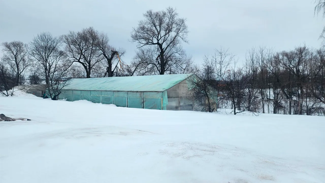 Станислав Орлов