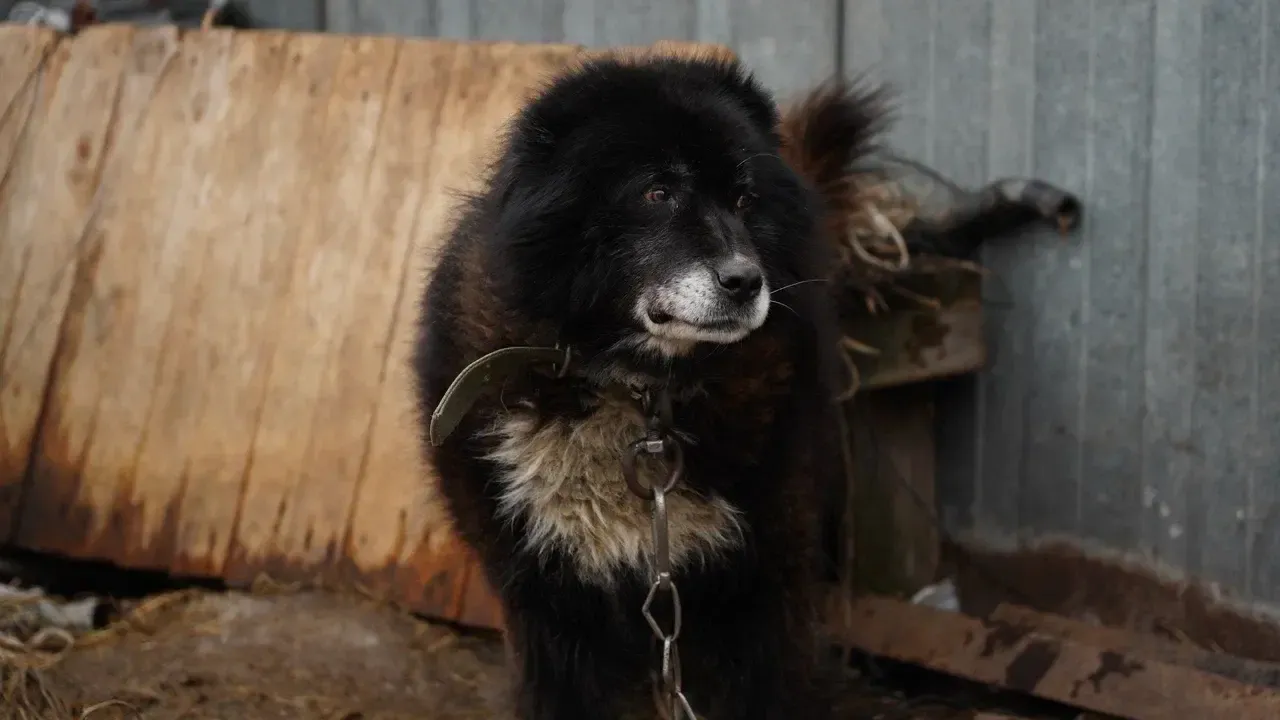 Фото: Руслан Полянин