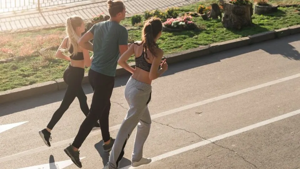 Фото: freepik.com