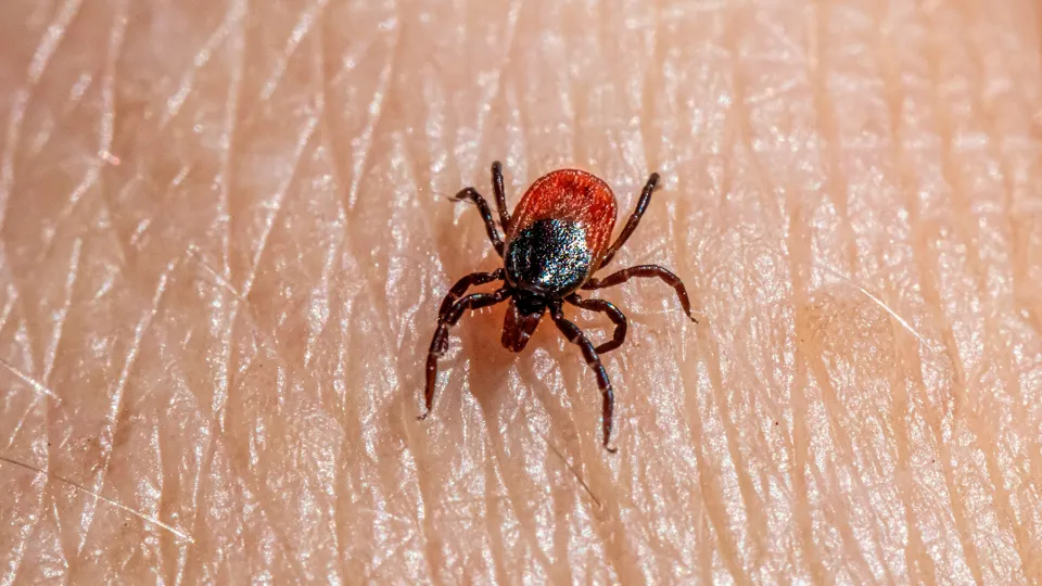 Фото: unsplash.com