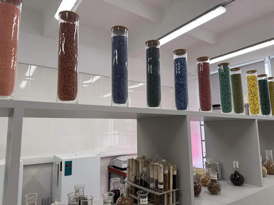 Фото: REGIONS/Мария Шматкова