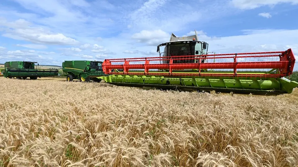 Фото: медиасток.рф