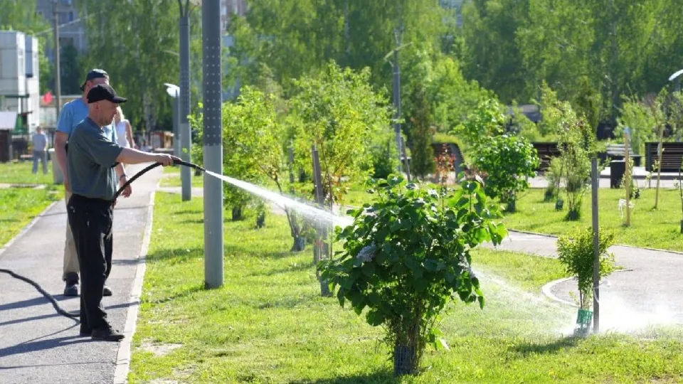Фото: Дмитрий Зайчиков