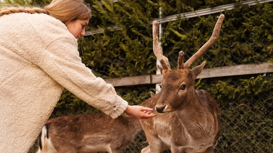 Фото: freepik.com