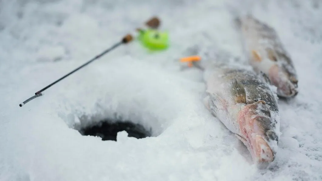 медиасток.рф