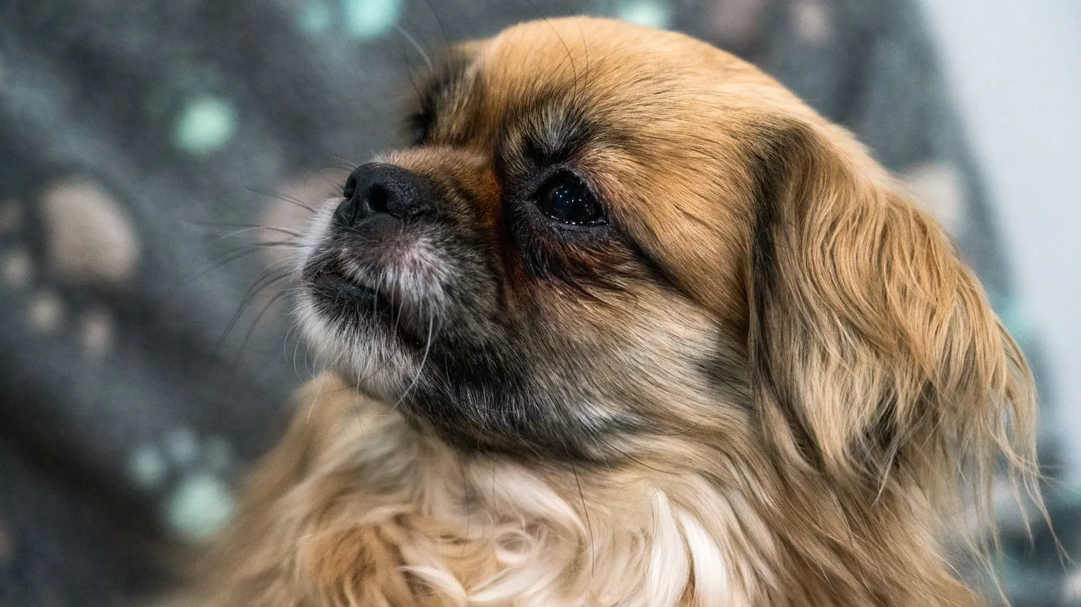 медиасток.рф