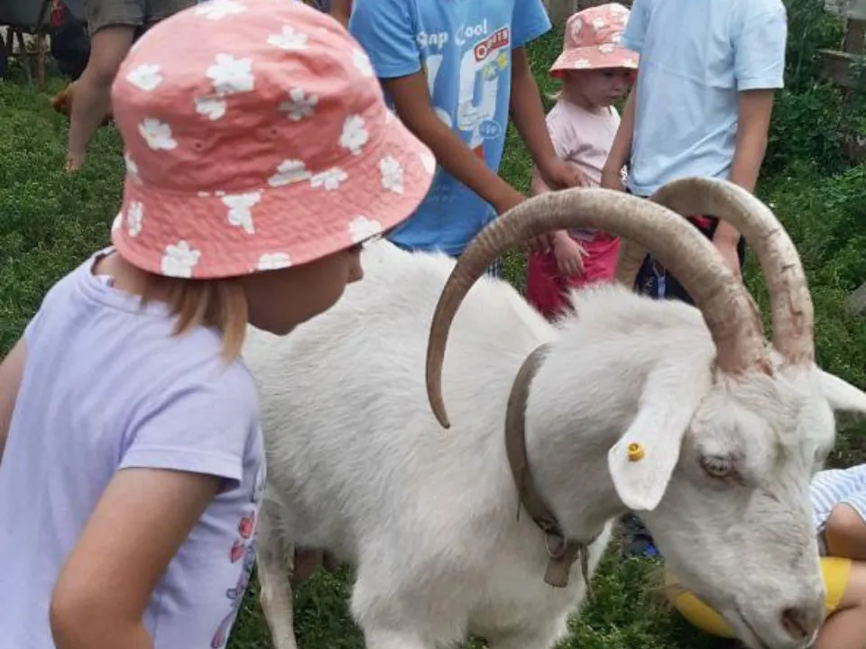 Фото: Семейный центр «Зарайский»