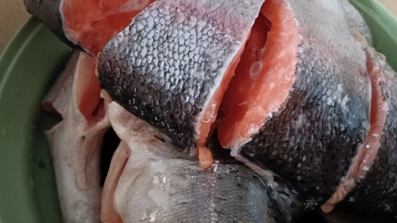 Фото: REGIONS/Ирина Горбачева