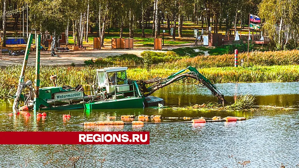 Фото: Данила Кирьянов