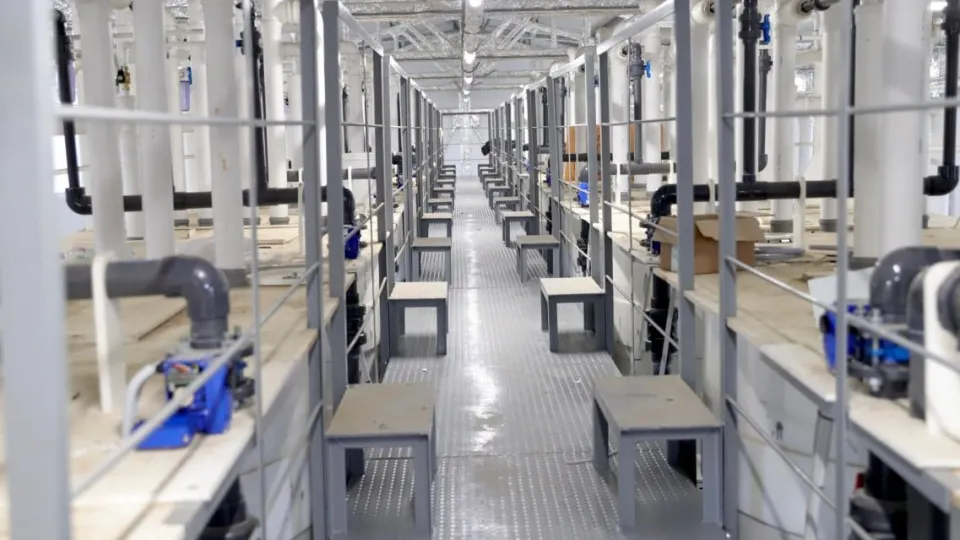 Фото: t.me/mikhalkov_official