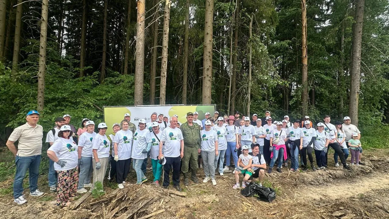 Фото: Комитет лесного хозяйства Московской области