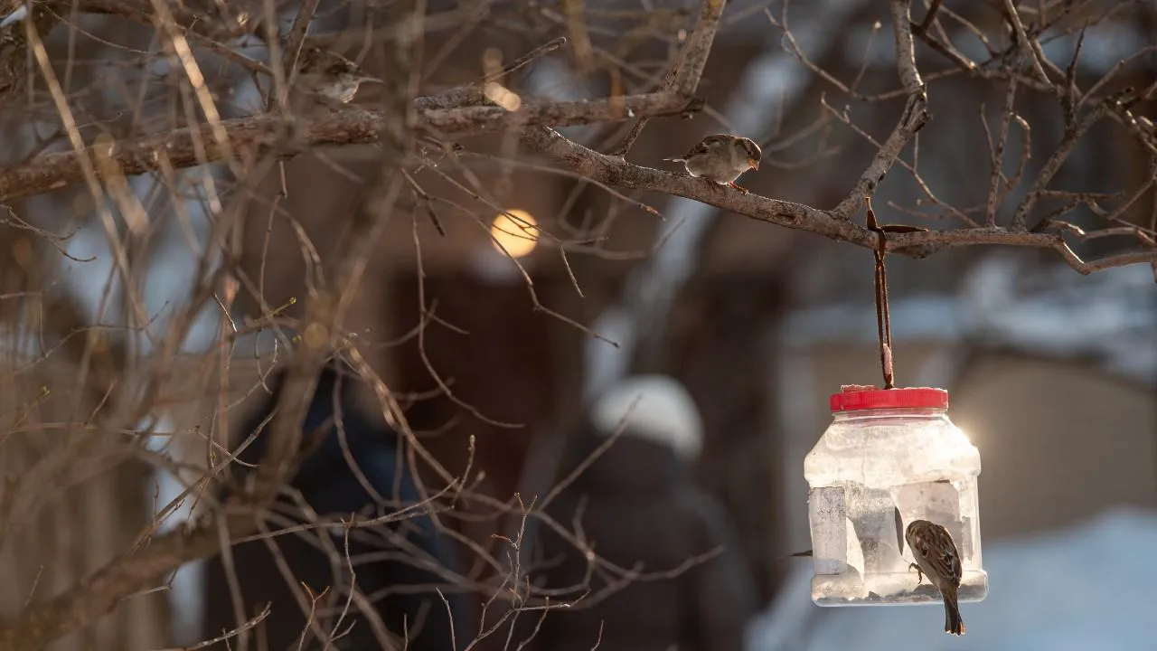 медиасток.рф