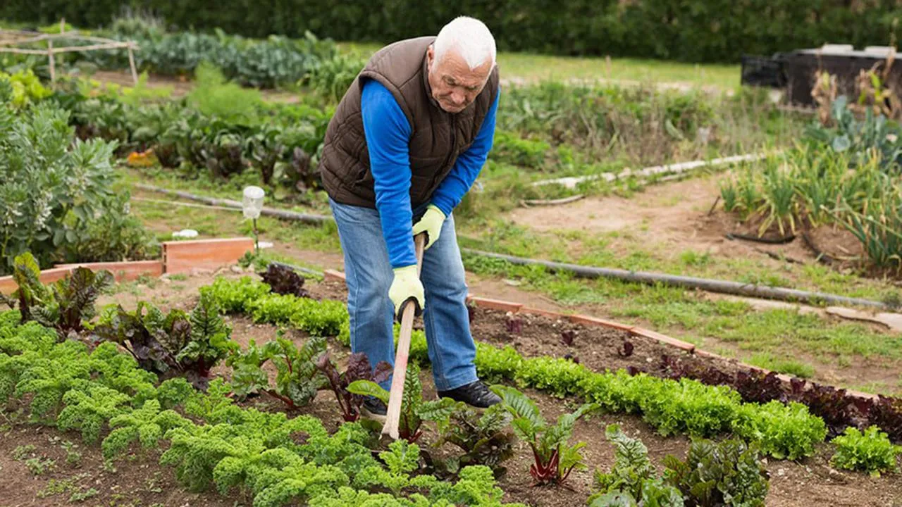 istockphoto.com
