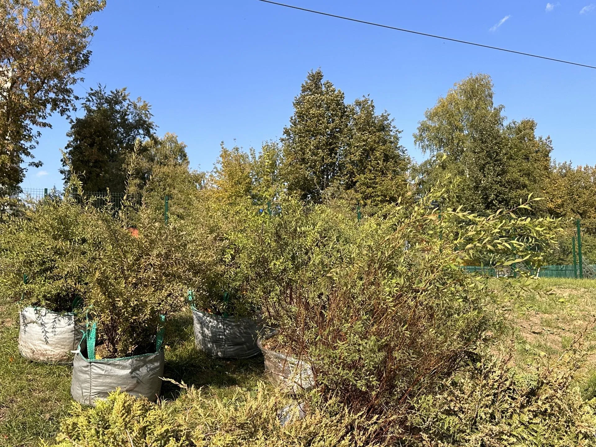 Мария Петрова