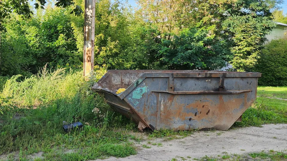 Фото: МедиаБанк Подмосковья/Ксения Пашуто