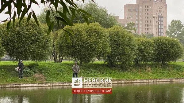 В петербургских парках массово гибнут птицы