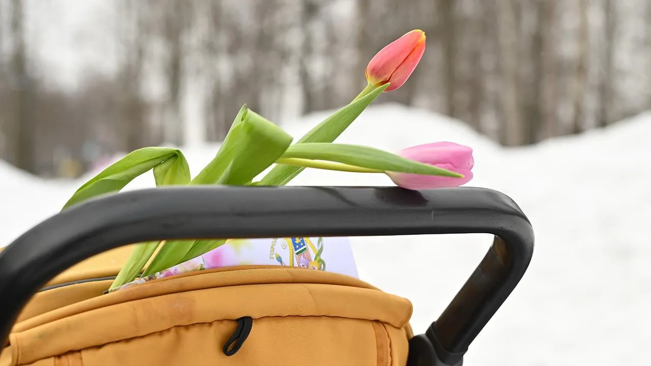 Сергей Демянюк