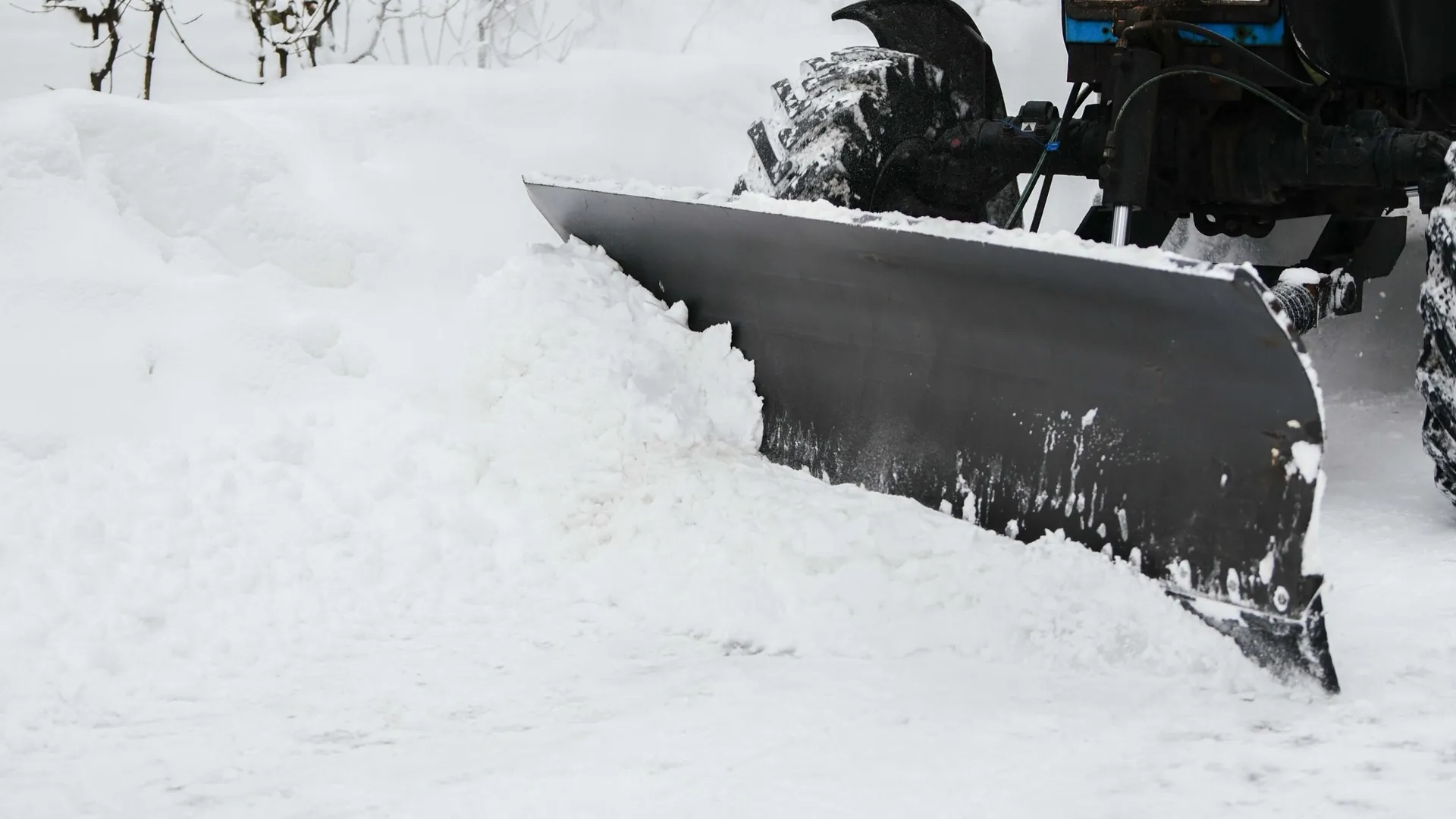 Фото: пресс-служба администрации г.о. Химки
