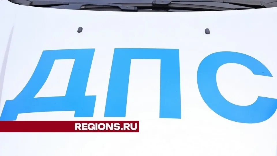 Фото: REGIONS/Александр Дрожжин