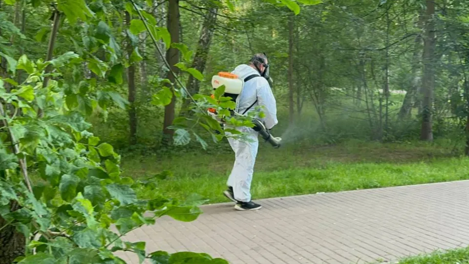 Фото: МедиаБанк Подмосковья/Эдуард Стратонов