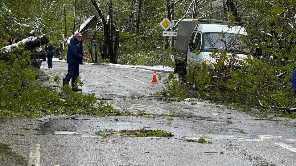 Фото: t.me/krasnogorsk_official