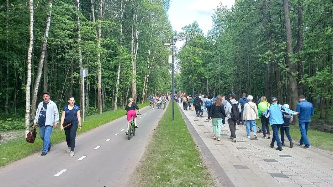 Фото: Олег Книжник