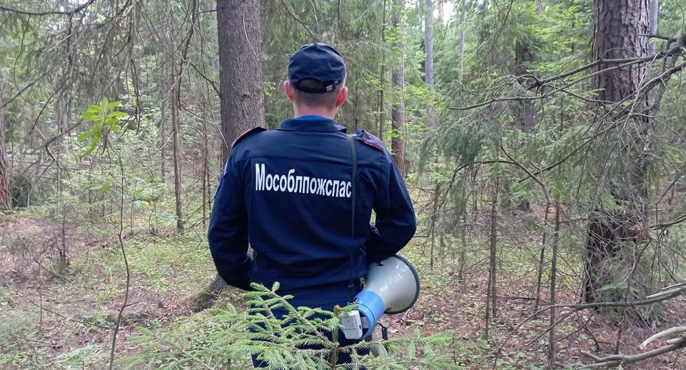 Работники «Мособлпожспаса» напомнили о мерах безопасности при сборе грибов