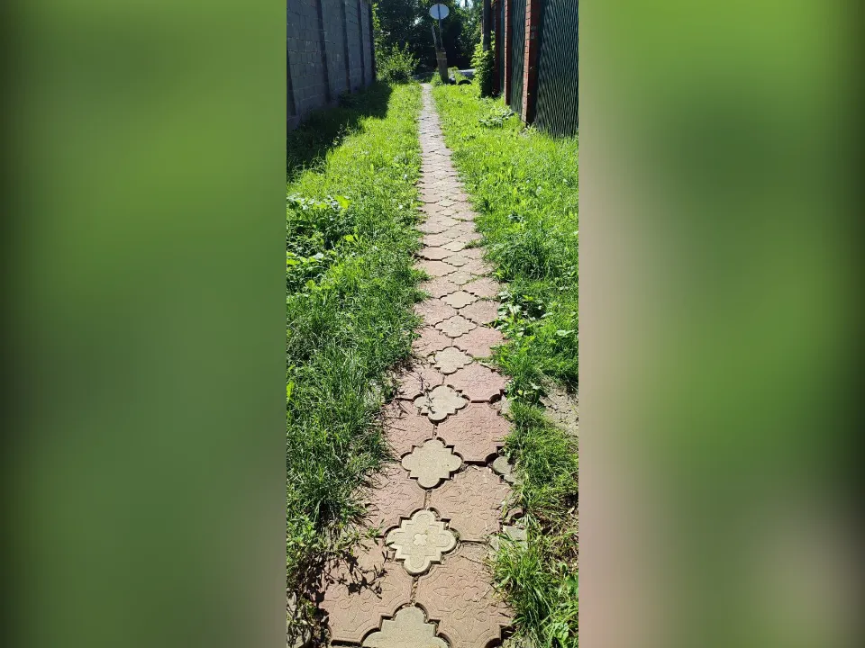 Фото: Сергей Томиловский