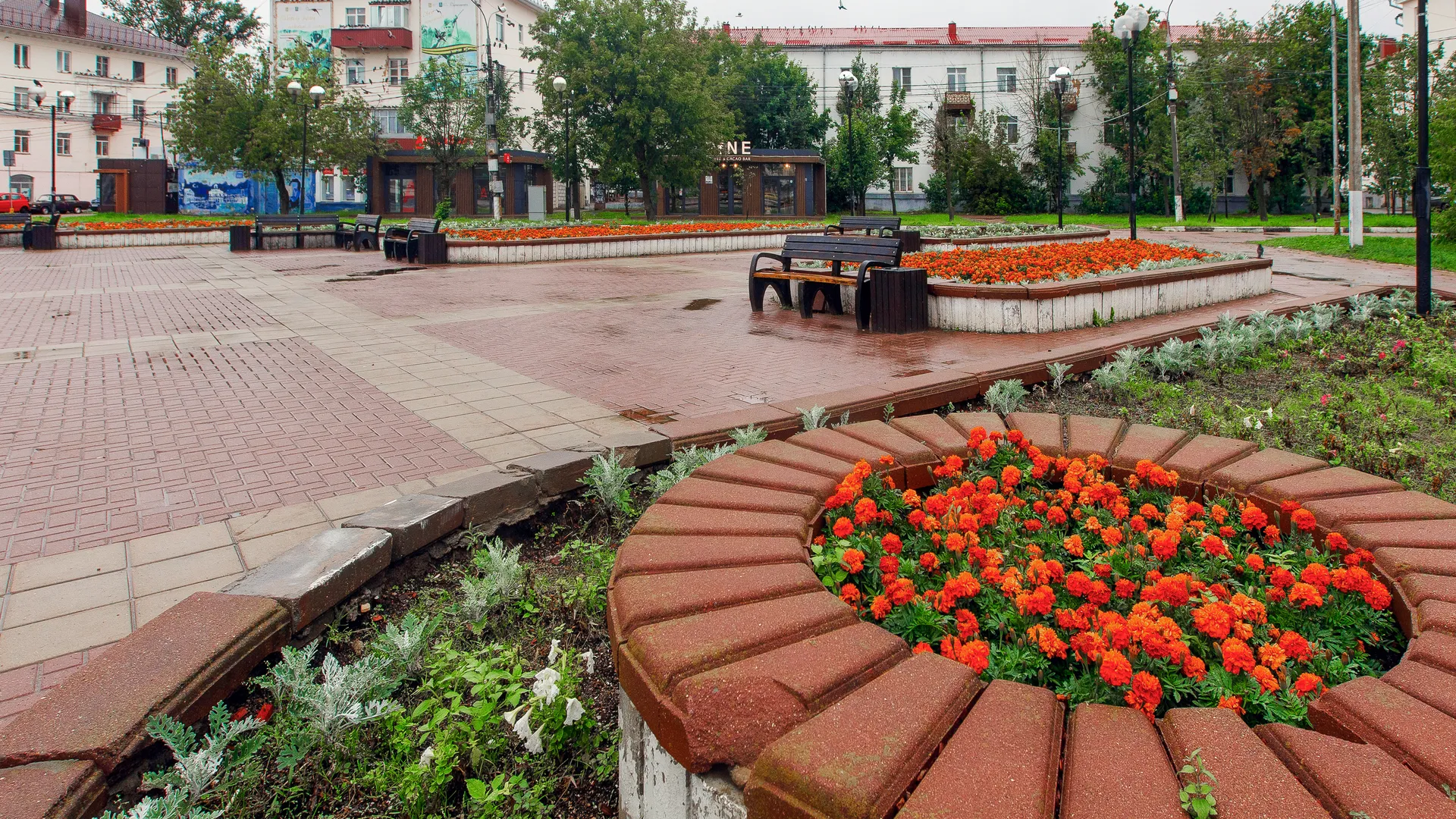 медиасток.рф