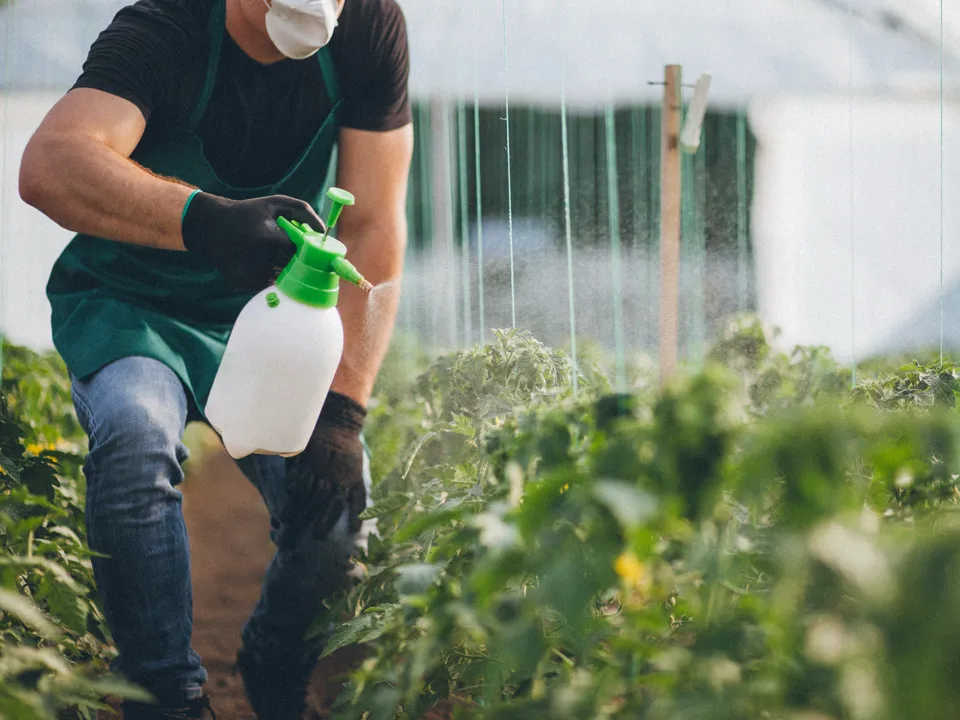 Фото: istockphoto.com